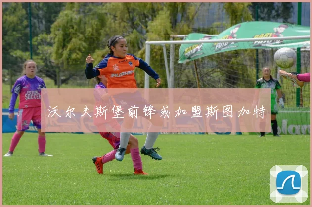 沃尔夫斯堡前锋或加盟斯图加特