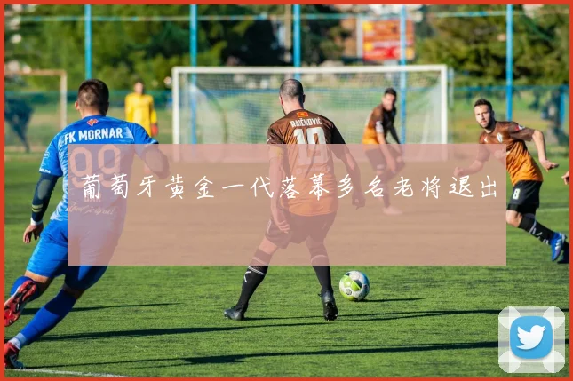 葡萄牙黄金一代落幕多名老将退出