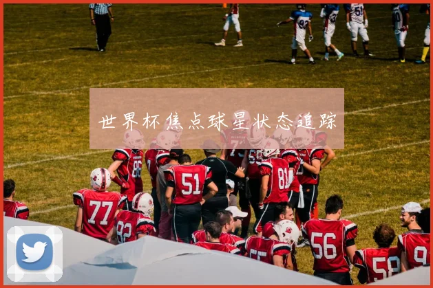 世界杯焦点球星状态追踪
